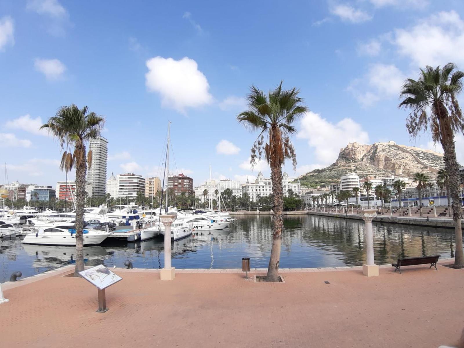Apartamento Grande-Centro Barrio Playa Alicante Zewnętrze zdjęcie